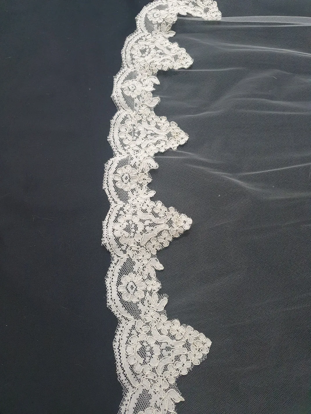 Veil 640misc: Cathedral length veils lace trims